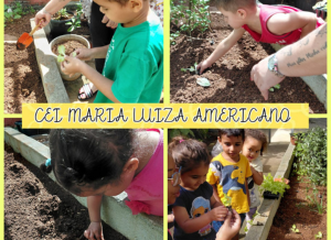 Uma horta na educação infantil